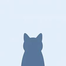 Cat avatar